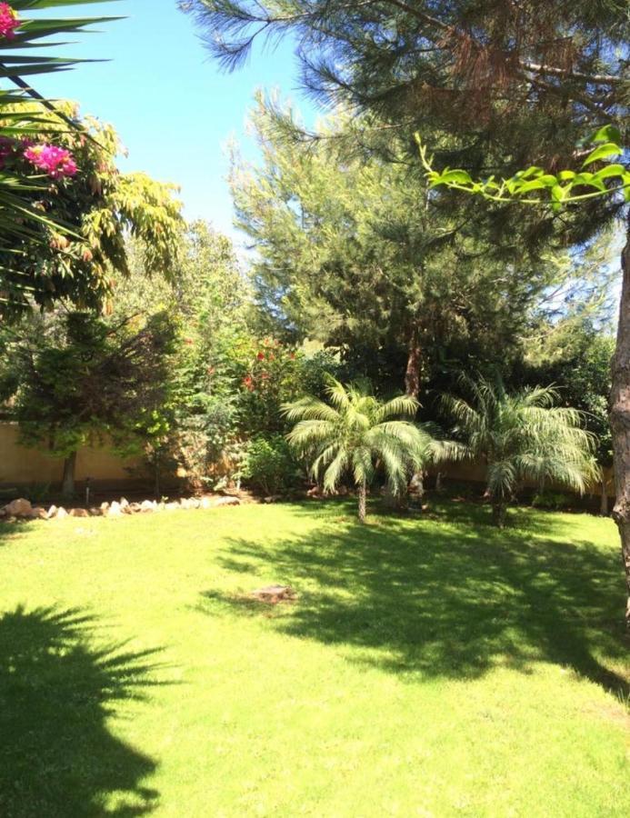 Villa Natalia Ayia Napa Bagian luar foto