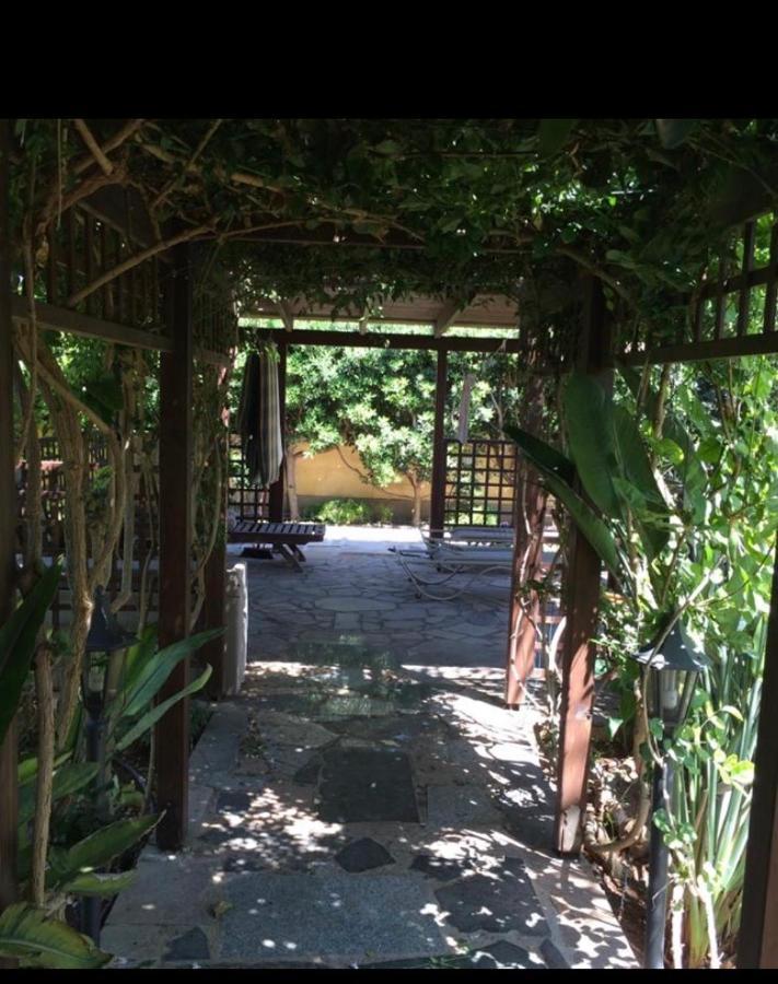 Villa Natalia Ayia Napa Bagian luar foto